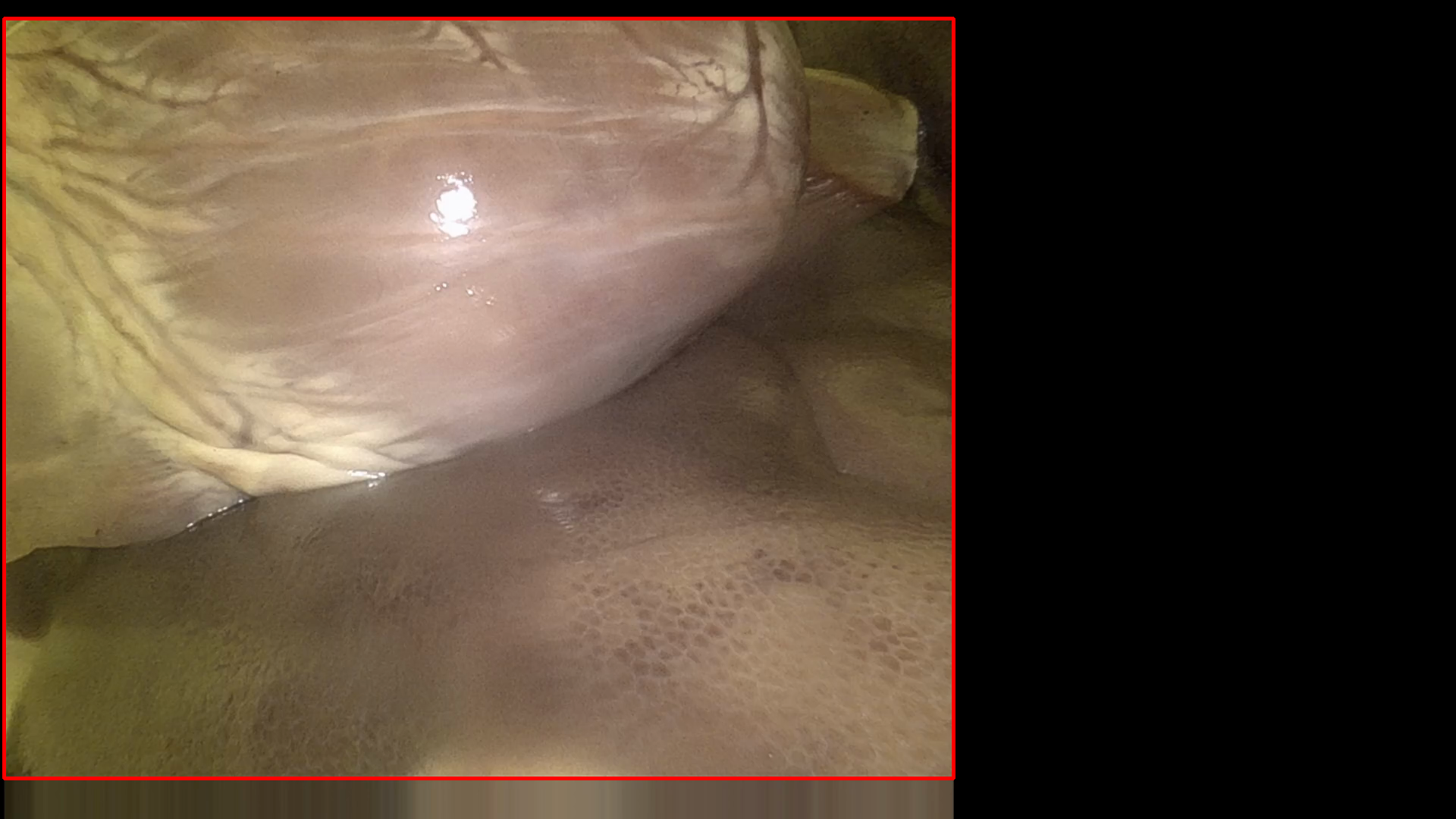 Downstream stereo depth estimation and instrument segmentation after desmoking